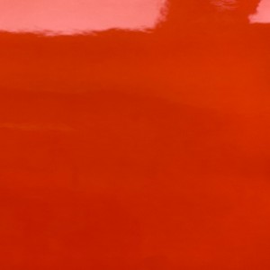 Pelle di brevetto PU